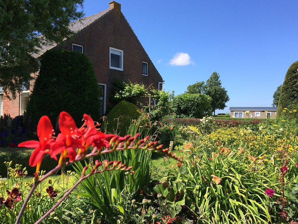 Bloemen in de tuin