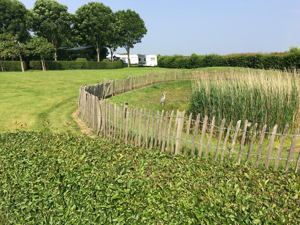 Het kampeerveld binnen de windsingel